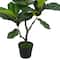 3ft. Potted Green Fiddle Leaf Fig Tree by Ashland®